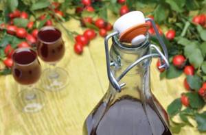 Вино из шиповника: простой рецепт приготовления в домашних условиях