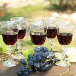 вино из винограда изабелла вред и польза