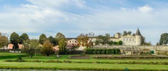 Виноградник