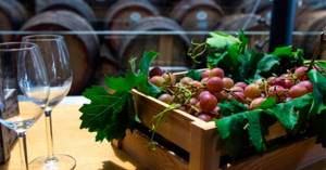 Виноградные грозди с лозой