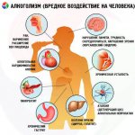 Воздействие алкоголя на организм мужчины